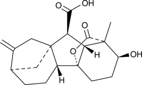 A plant hormone with plant signaling and growth stimulatory activities; found in the micropylar endothelium cells of Arabidopsis maternal seed tissue and triggers suspensor PCD in the embryo; increases hypocotyl growth of cucumber seedlings at 6-100 µM; increases flowering in apple trees when applied post-flowering in the previous year