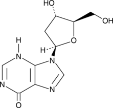 The nucleoside form of hypoxanthine; a product of DNA damage that is formed from 2’-deoxyadenosine by adenosine deaminase or RNS; enhances 5-FU-induced apoptosis in HT-29 and SW620 cancer cells; enhances 5-FU-induced tumor growth suppression in an SW620 mouse xenograft model at 1.6 g/kg