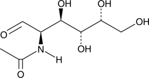 An amino sugar derivative of galactose; a component of O-GalNAc glycans; has been used as a targeting moiety for liver-targeted delivery of oligonucleotides