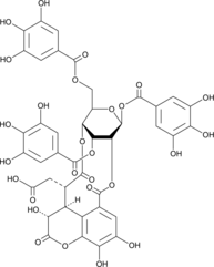 An ellagitannin with diverse biological activities; an inhibitor of PTPN9 and PTPN11 (IC50s = 34 and 37 nM