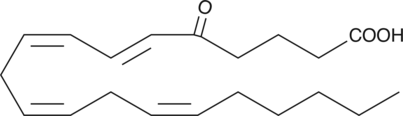 A polyunsaturated keto acid formed by the oxidation of 5-HETE in neutrophils by a specific dehydrogenase; stimulates the increase in cytosolic calcium levels in neutrophils (EC50 = 2 nM) and stimulates the migration and degranulation of eosinophils via a specific GPCR