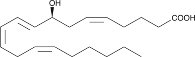 A major LO product in PMA-treated murine epidermis