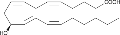 A monohydroxy fatty acid derived from arachidonic acid; synthesis of 11-HETE by rat PMNL has been reported