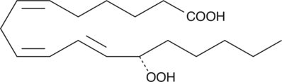 A monohydroperoxy PUFA produced by the action of 15-LO on γ-linolenic acid