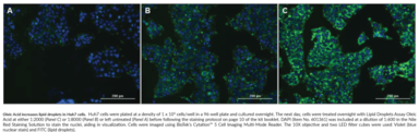 Cayman’s Lipid Droplets Fluorescence Assay Kit can be used to study regulators of lipid droplet biogenesis. The main advantage of this assay is that the green fluorescence of Nile Red is both very sensitive and specific for lipid droplets.{17124} Furthermore