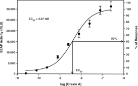 Cayman's OX2R Reporter Assay Kit consists of a 96-well plate coated with both OX2R and Secreted Alkaline Phosphatase (SEAP) reporter constructs (OX2R Reverse Transfection Strip Plate). Cells grown on the transfection complex will express OX2R at the cell surface and the recombinant G-protein inside the cell. Binding of agonists to OX2R initiates a signal transduction cascade resulting in expression of SEAP which is secreted into the cell culture medium. Aliquots of culture medium are removed at time intervals beginning at about 16 hours and SEAP activity is measured following addition of a luminescence-based alkaline phosphatases substrate provided in the kit. The kit is easy to use and can be easily adapted to high throughput screening for therapeutic compounds regulating activation of OX2R. A known OX2R agonist