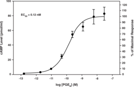 The EP4 receptor is one of four GPCRs that mediate the actions of prostaglandin E2 (PGE2). The diverse effects of PGE2 acting via EP4 receptors point to the need to identify novel agonists and antagonists