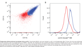 The oxidation of low density lipoprotein is thought to be one of the first steps in atherosclerosis. The uptake of oxidized LDL (oxLDL) by macrophages activates pro-inflammatory mediators that promote disease progression. Cayman’s Oxidized LDL Uptake Assay Kit is a convenient tool to study modulators of cellular uptake of oxLDL.  The kit employs a fluorescently tagged