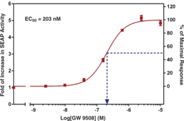 FFAR1/GPR40 is a G protein-coupled receptor for long-chain fatty acids such as DHA and EPA ω-3 fatty acids. It is involved in the regulation of insulin release from pancreatic β cells and mediates triglyceride-induced secretion of incretins GLP-1 and GIP from intestinal endocrine cells. Cayman’s FFAR1 (GPR40) Reporter Assay Kit consists of a 96-well plate coated with a transfection complex containing DNA constructs for FFAR1