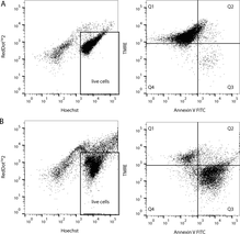 Cayman's Multi-Parameter Apoptosis Assay Kit is a simple way to probe for multiple different apoptotic readouts at the same time. This kit employs FITC-conjugated Annexin V as a probe for phosphatidylserine on the outer membrane of apoptotic cells