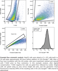 Cayman’s LDL Uptake Flow Cytometry Assay Kit employs human LDL conjugated to DyLight™ 488 as a convenient tool for studying the uptake of LDL in cultured cells. Flow cytometry provides the advantage of assessing the uptake of LDL at the single-cell level. In addition