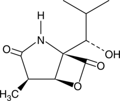 Active metabolite of lactacystin