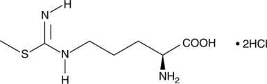 S-methyl-L-Thiocitrulline is a potent NOS inhibitor with selectivity toward the neuronal isoform compared to eNOS and iNOS. For human enzymes