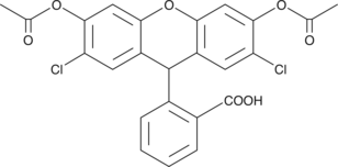 A fluorescent indicator of peroxynitrite formation; neither NO