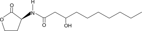 A small diffusible signaling molecule secreted by various bacteria; produced via lactonolysis from 3-oxodecanoyl-homoserine lactone