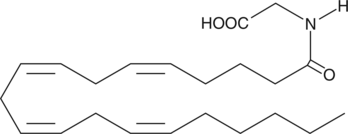 Produced endogenously via oxidation of AEA