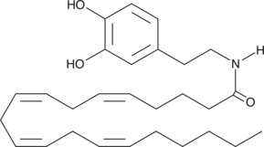 An arachidonoyl amino acid and CB1 receptor agonist (Ki = 250 nM in rat brain membranes