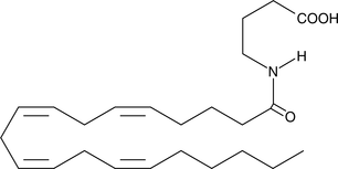 Several different arachidonoyl amino acids