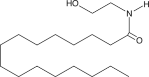 An endogenous CB found in brain