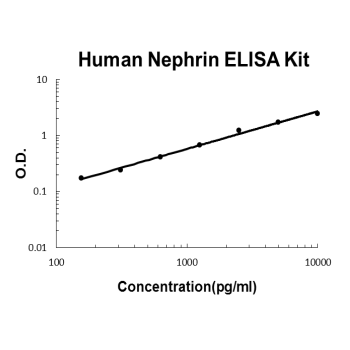 Human Nephrin PicoKine ELISA Kit