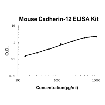 Mouse Cadherin-12 PicoKine ELISA Kit