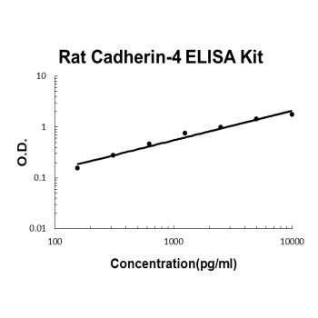 Rat Cadherin-4/R-Cadherin PicoKine ELISA Kit