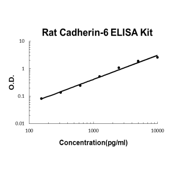 Rat Cadherin-6 PicoKine ELISA Kit