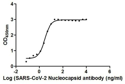 SARS-CoV-2-N Antibody