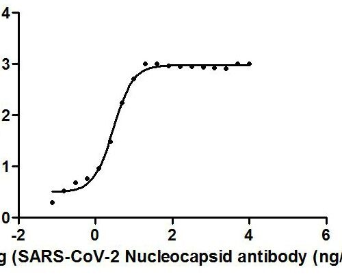 SARS-CoV-2-N Antibody
