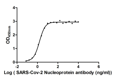 SARS-CoV-2 N Antibody