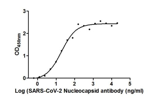 SARS-CoV-2-N human Antibody