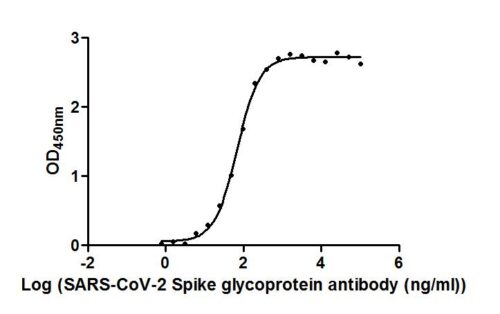 SARS-CoV-2-S Antibody