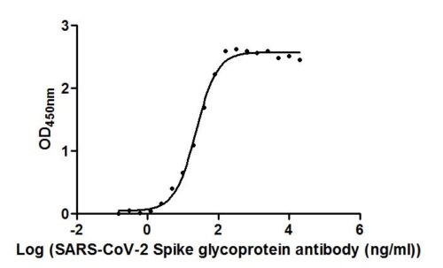 SARS-CoV-2-S monoclonal antibody