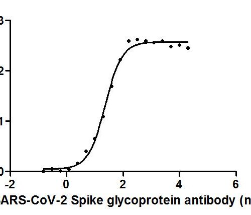 SARS-CoV-2-S monoclonal antibody