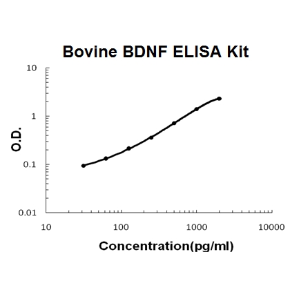 Bovine BDNF PicoKine™ ELISA Kit