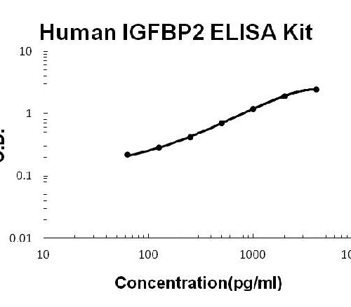 Human IGFBP2 PicoKine ELISA Kit