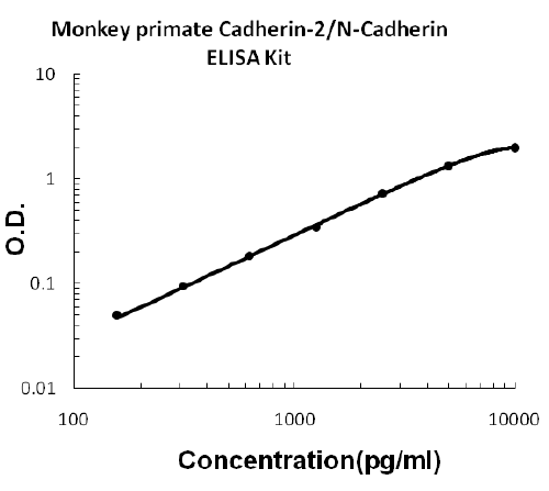 Monkey primate Cadherin-2/N-Cadherin PicoKine™ ELISA Kit