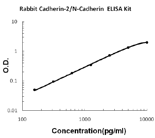 Rabbit Cadherin-2/N-Cadherin PicoKine™ ELISA Kit