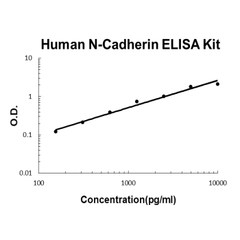 Human Cadherin-2/N-Cadherin PicoKine ELISA Kit