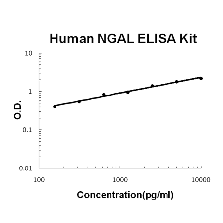 Human Lipocalin-2/NGAL PicoKine ELISA Kit