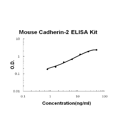 Mouse Cadherin-2/N-Cadherin PicoKine ELISA Kit