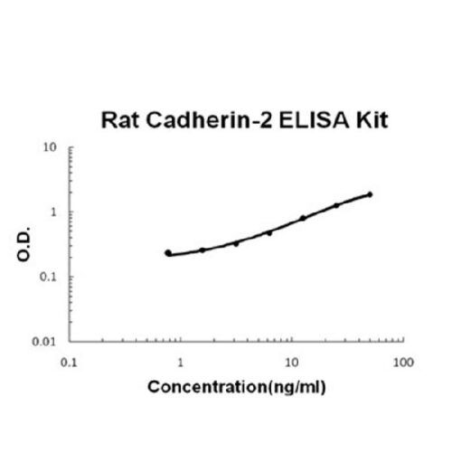 Rat Cadherin-2/N-Cadherin PicoKine ELISA Kit