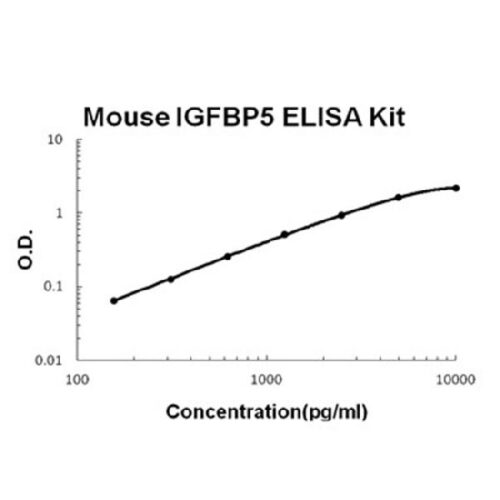 Mouse IGFBP5 PicoKine ELISA Kit