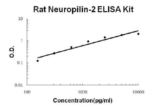 Rat Neuropilin-2 PicoKine ELISA Kit