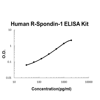 Human R-Spondin-1 PicoKine ELISA Kit