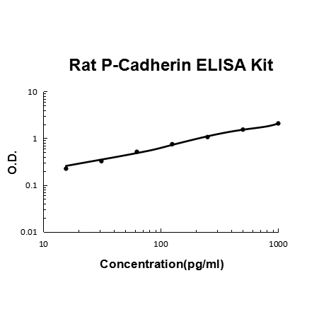 Rat P-Cadherin PicoKine ELISA Kit