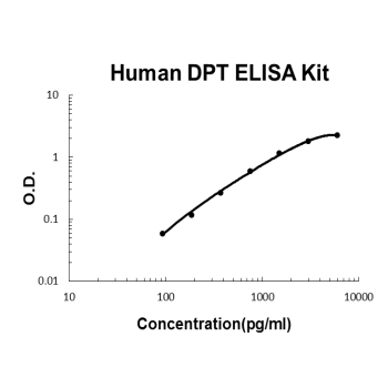 Human Dermatopontin/DPT PicoKine ELISA Kit