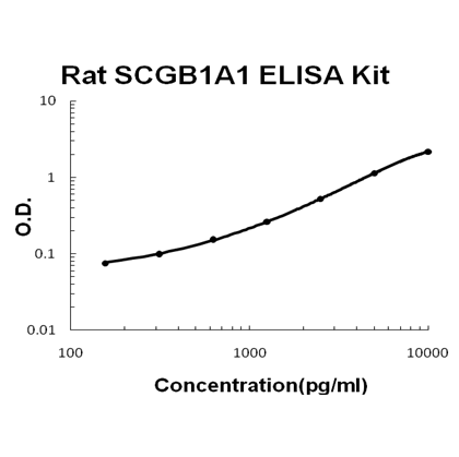 Rat SCGB1A1/uteroglobin PicoKine™ Fast ELISA Kit