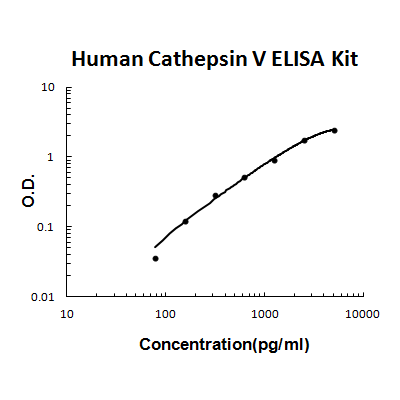 Human Cathepsin V PicoKine ELISA Kit