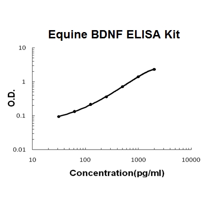 Horse equine BDNF PicoKine™ ELISA Kit
